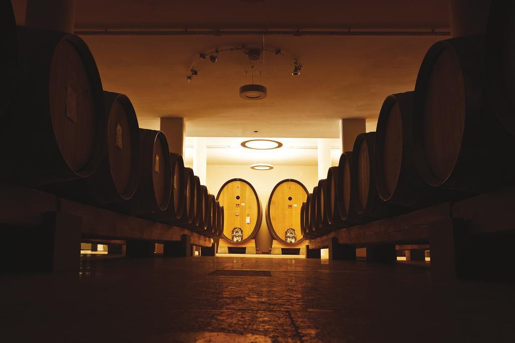 Roccafiore Wine Resort & Spa Todi Exterior photo